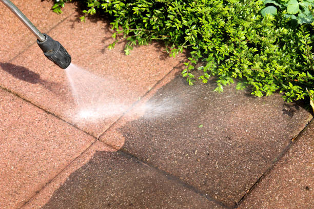 Best Pressure Washing Services Near Me  in Pelham Manor, NY